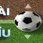 Cách cược tài xỉu trong bóng đá là gì?