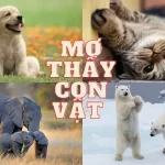 Sổ mơ lô đề các con vật